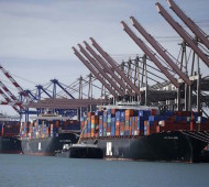Container ships sit in berths at the Port of Los Angeles
