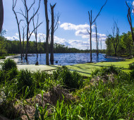 Onion Bottom Wetland